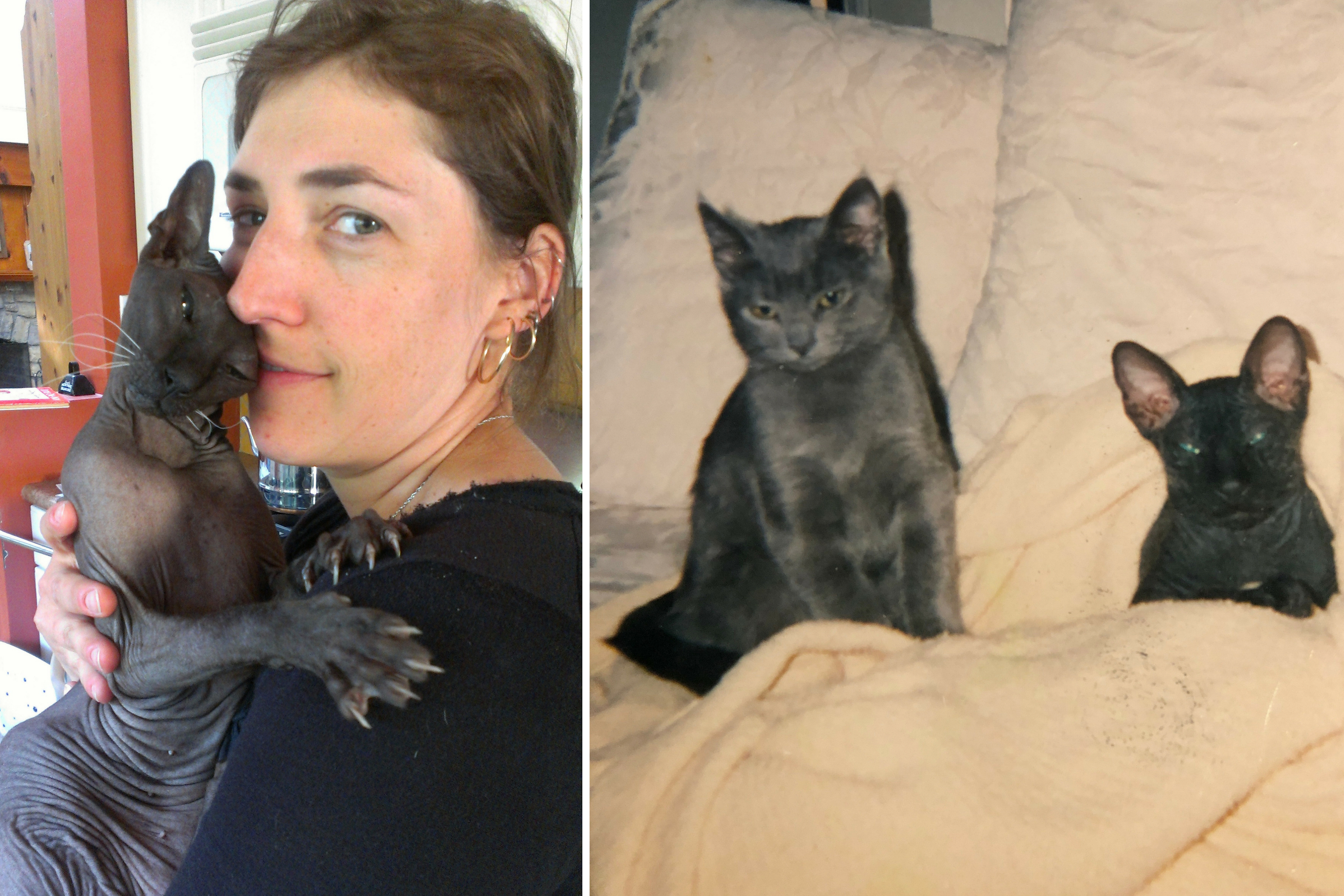 Mayim Bialik recalls the painful grief that comes with pet loss | Grok  Nation